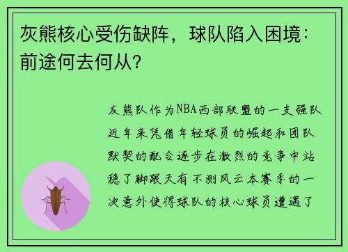 灰熊核心受伤缺阵，球队陷入困境：前途何去何从？